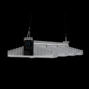 Sanlight - EVO 4- 80 - Led horticultural system - 255W