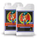 ADVANCED NUTRIENTS - PH PERFECT CONNOISSEUR BLOOM A+B