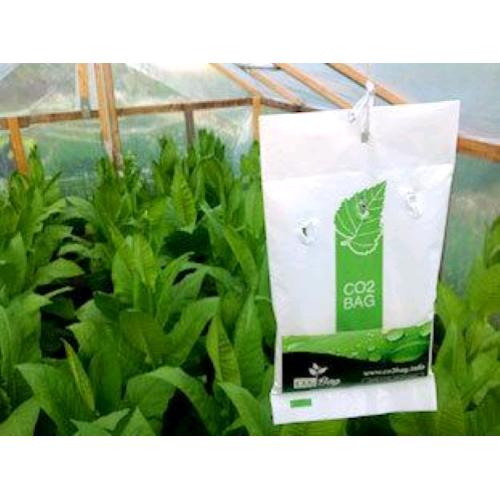 CO2 Bag