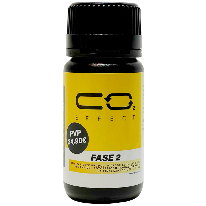 CO2 EFFECT FASE 2