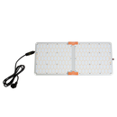 IGNATOR HEROLED F220W