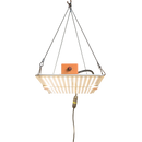 IGNATOR HEROLED F220W