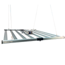 NEWLITE INDOORLED VB 8B 1700P 630W 8 BARS