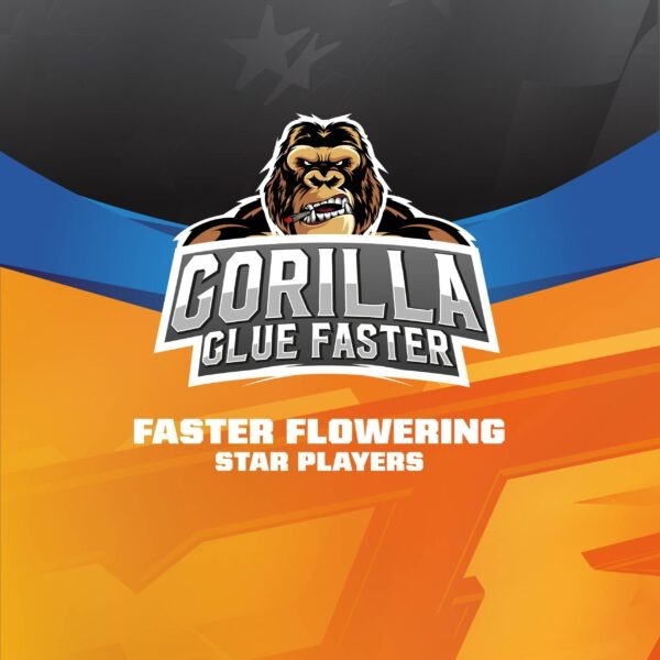 BSF - Gorilla Glue Faster