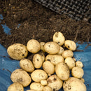 AIR POT POTATO TOWER 50L