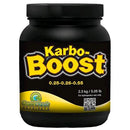 GREEN PLANET - KARBO BOOST 1KG
